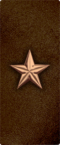 Star Bronze-Brown